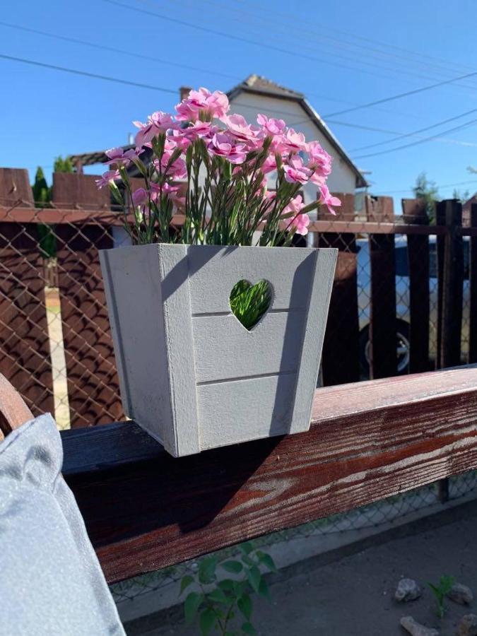 Mandi Apartman Veresegyház Dış mekan fotoğraf